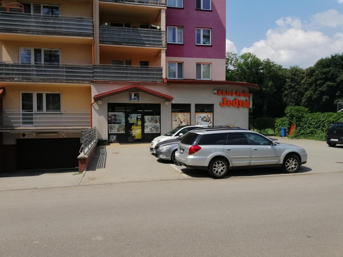 Apartament Witkiewicza Sanoki járás Kültér fotó
